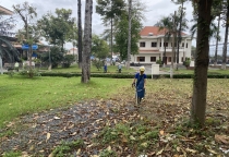Chăm Sóc Cây Xanh Đồng Nai