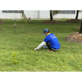 CHĂM SÓC CÂY XANH TẠI ĐỒNG NAI
