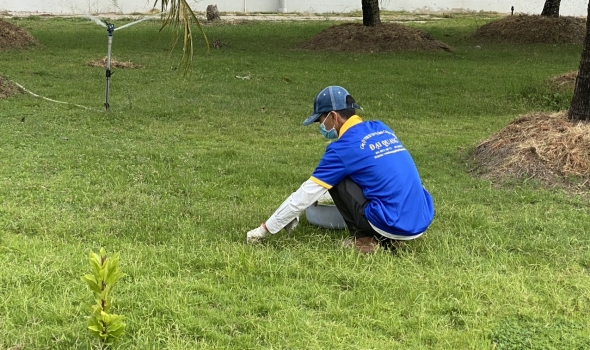 CHĂM SÓC CÂY XANH TẠI ĐỒNG NAI